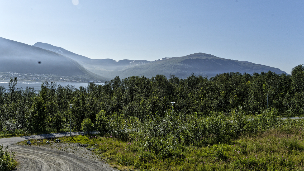 20230731 094829•Tromsø•Troms og Finnmark•Norway